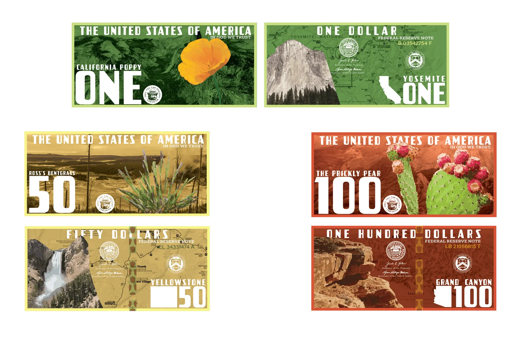 Dollar Bill Redesign — project cover