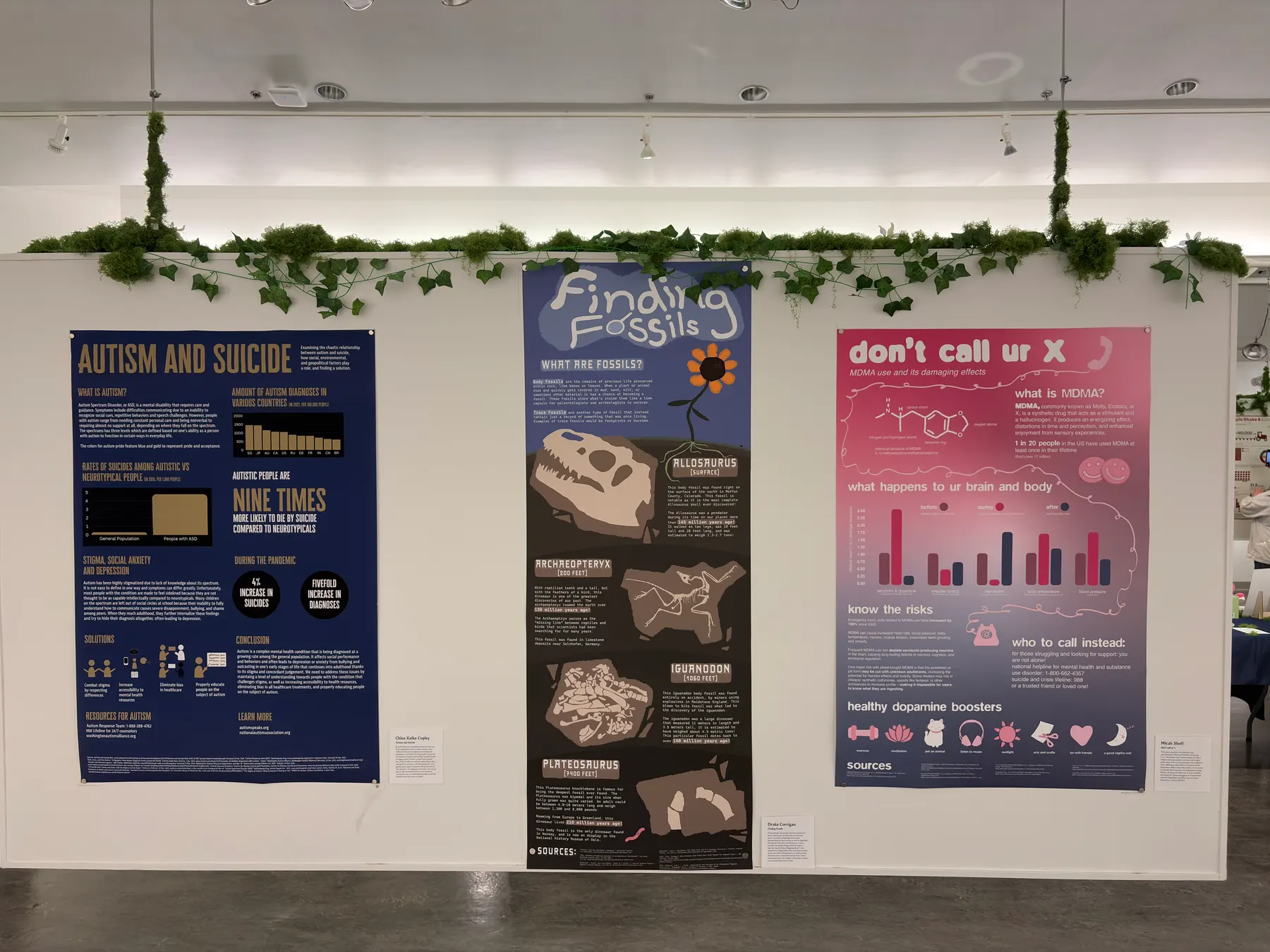The Finding Fossils poster installed in a gallery, printed as a long vertical banner between two classmates' posters, with artificial ivy along the top of the wall.
