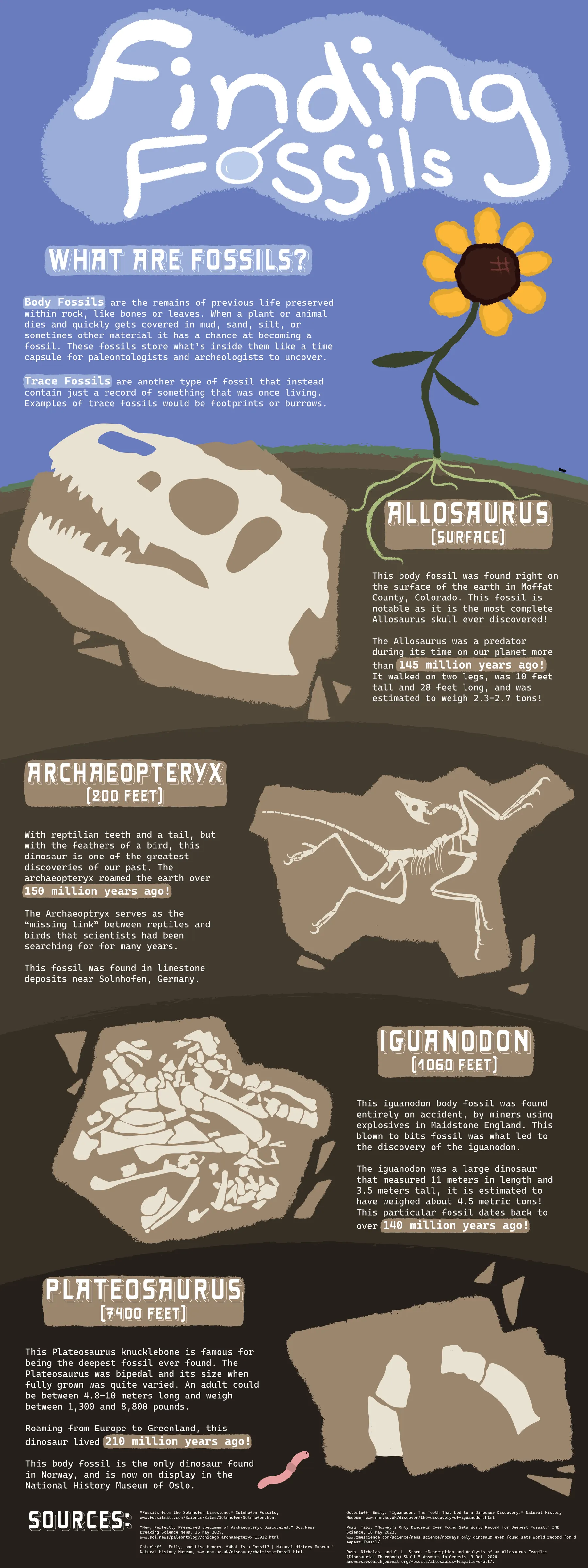 Finding Fossils — project cover